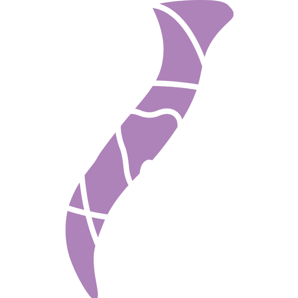 Implantologia 61 Tac 3D Cone Beam
